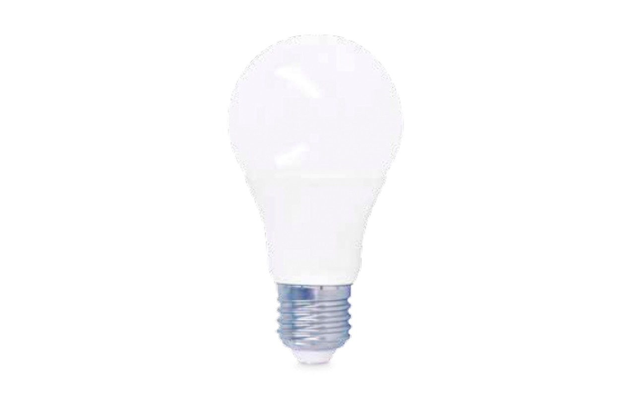 Lâmpada LED A60 E27 10W 3000K (24V)