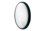 aplique oval fenoplastica